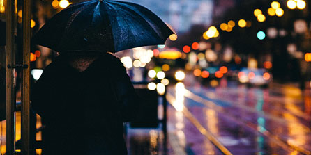 塔斯马尼亚联球迷现场助威，激发球队夺冠斗志